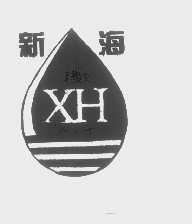 新海