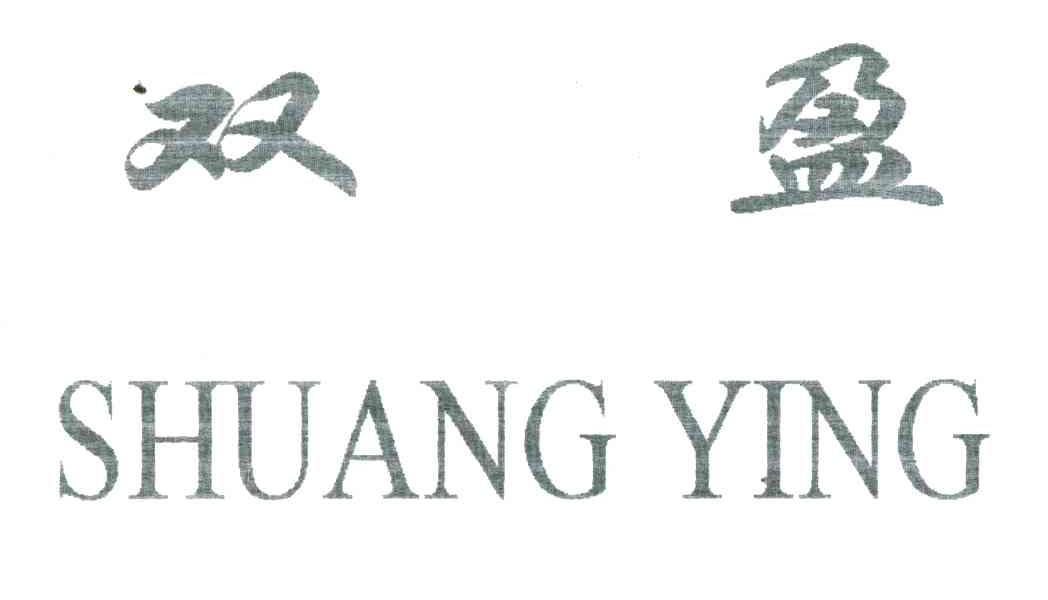 双盈