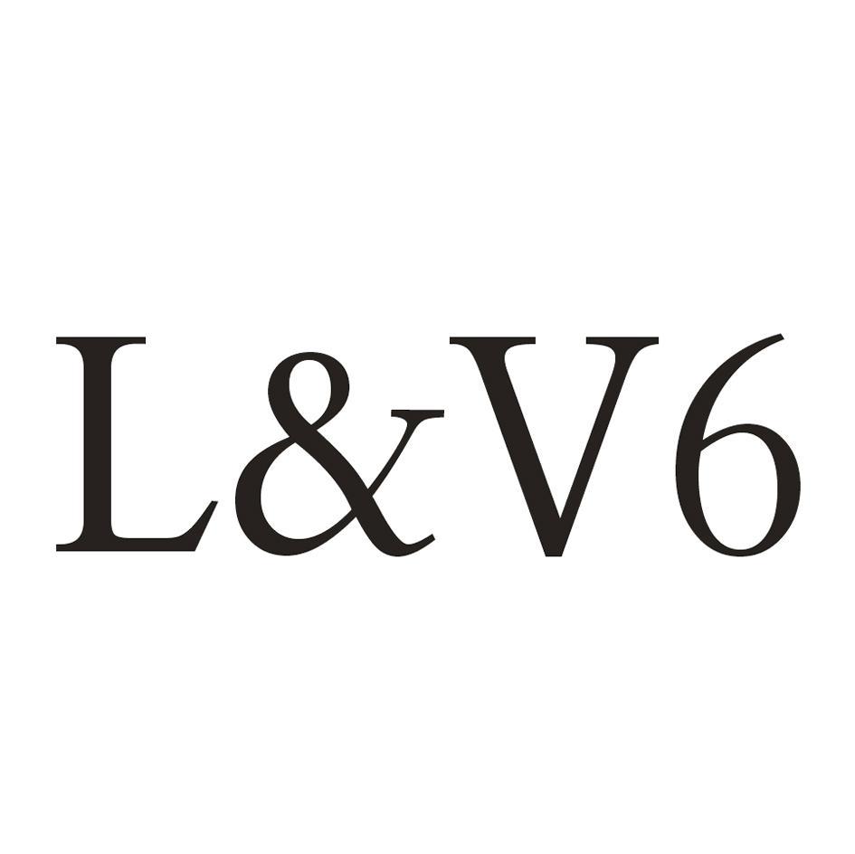 L&V 6