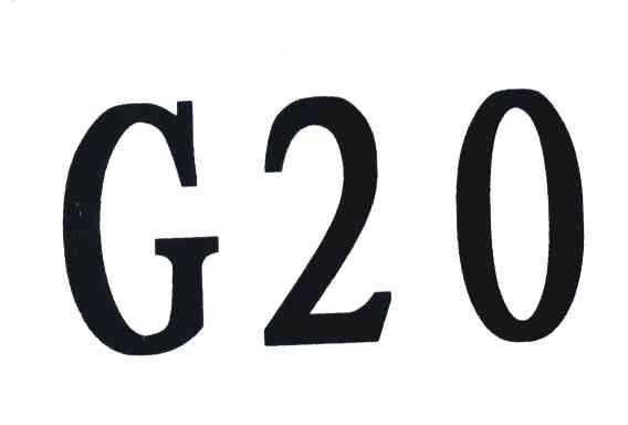 G 20