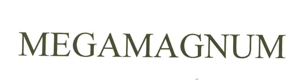MEGAMAGNUM