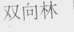 双向林