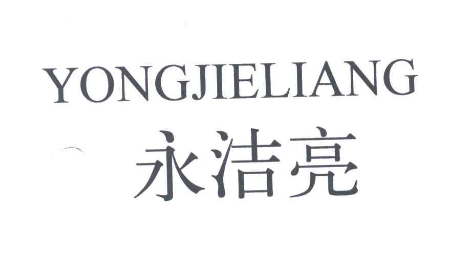永洁亮