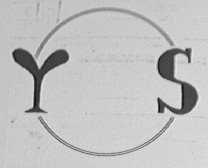 YS