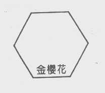 金樱花