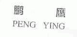 鹏鹰