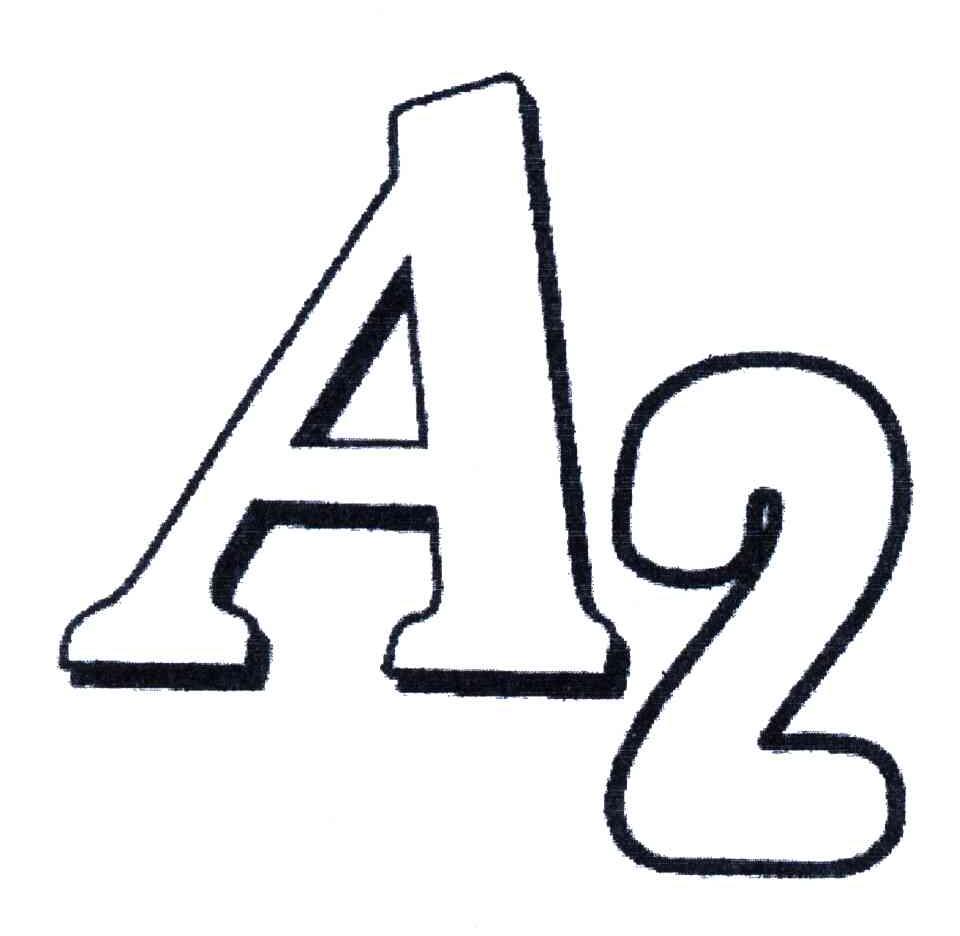 A;2
