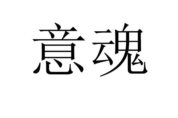意魂