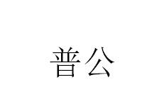 普公