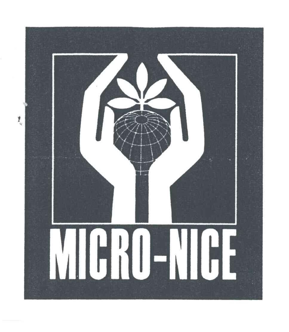 MICRO-NICE