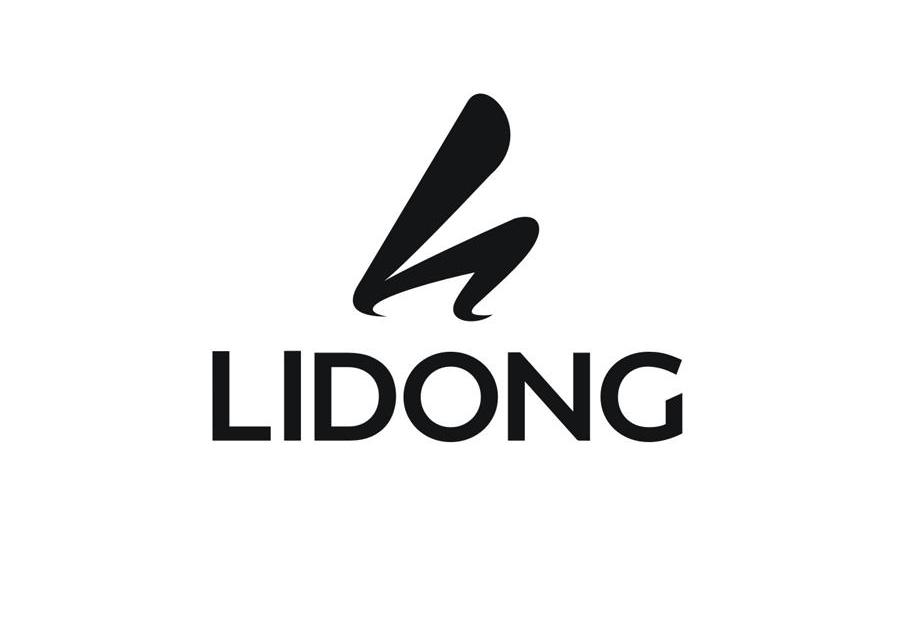 LIDONG H