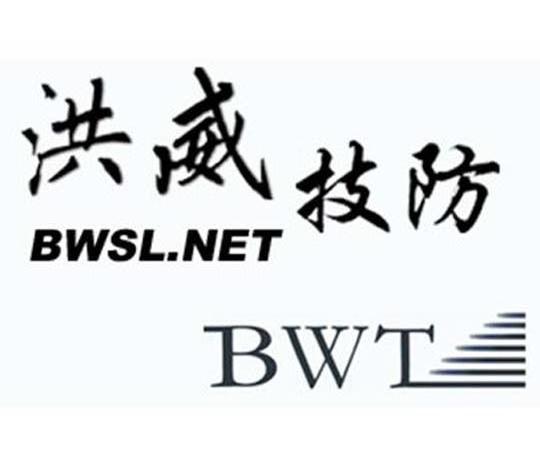 洪威技防 BWSL.NET BWT