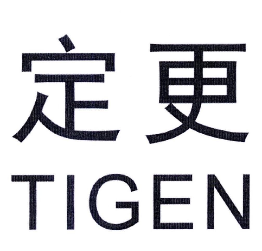 定更 TIGEN