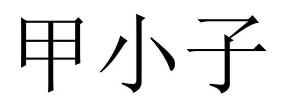 甲小子