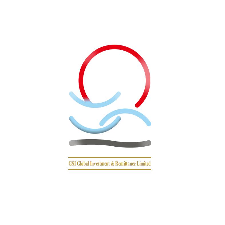 GSI GLOBAL INVESTMENT&REMITTANCE LIMITED