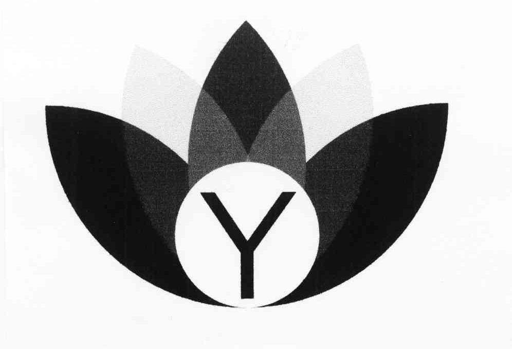 Y