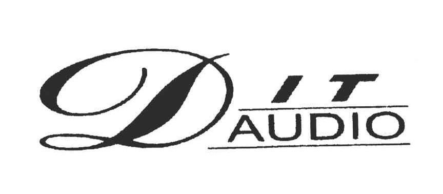 IT AUDIO