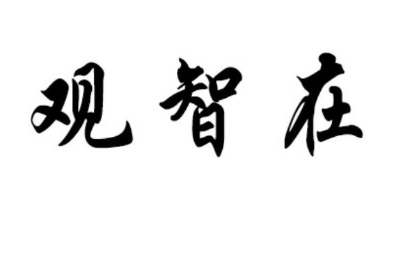 观智在