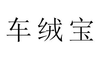 车绒宝