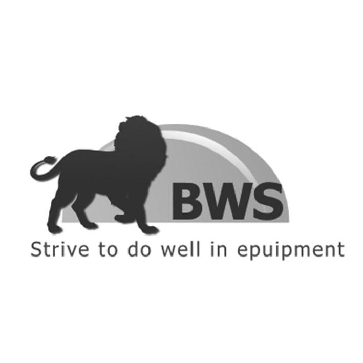BWS STRIVE TO DO WELL IN EPUIPMENT