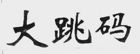 大跳码
