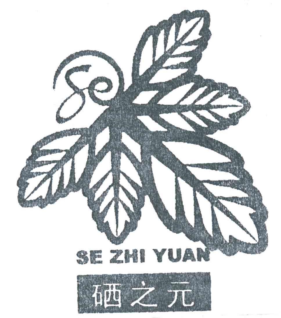 硒之元