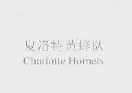 夏洛特黄蜂队   CHARLOTTE HORNETS