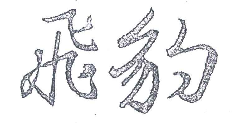 飞豹
