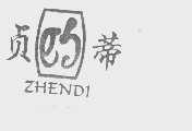 贞蒂