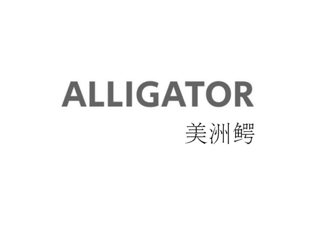 ALLIGATOR 美洲鳄