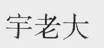宇老大