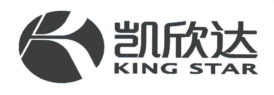 凯欣达 KING STAR K
