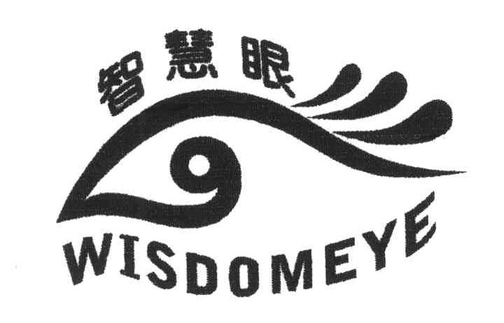 智慧眼;WISDOMEYE