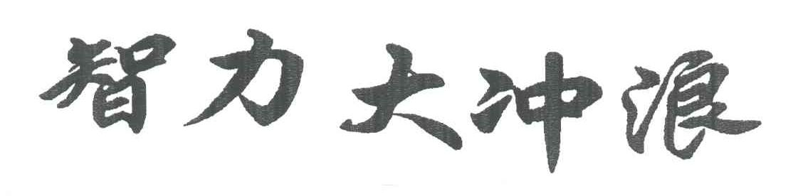 智力大冲浪