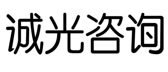 诚光咨询