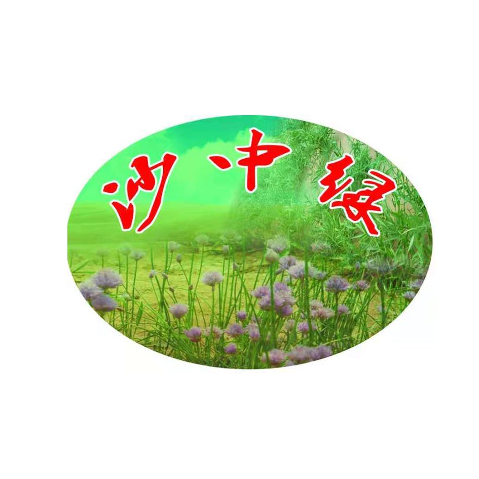 沙中绿