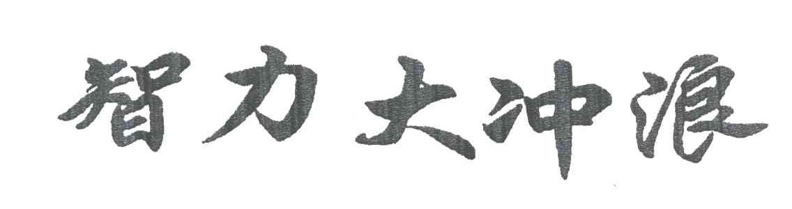 智力大冲浪