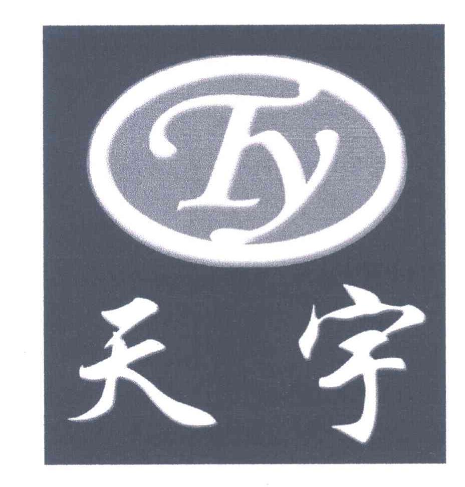 天宇 TY