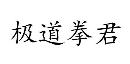 极道拳君