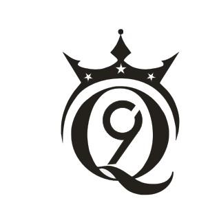 9 Q