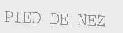 PIED DE NEZ