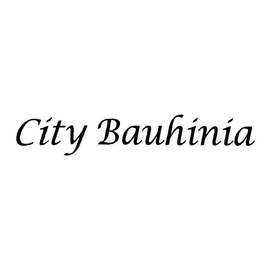 CITY BAUHINIA