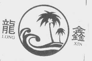 龙鑫