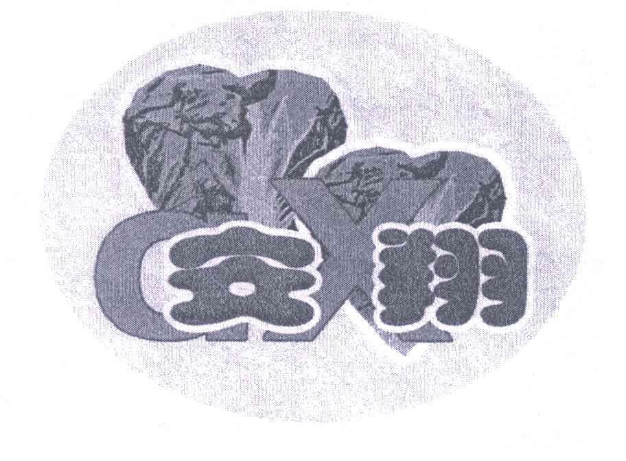 安翔 AX