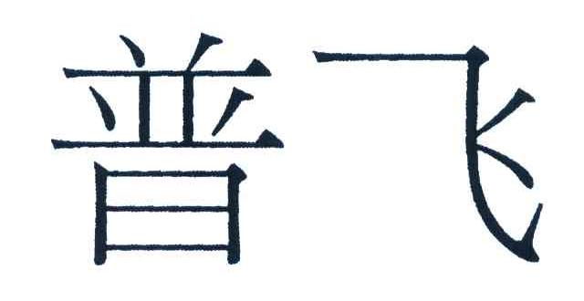 普飞