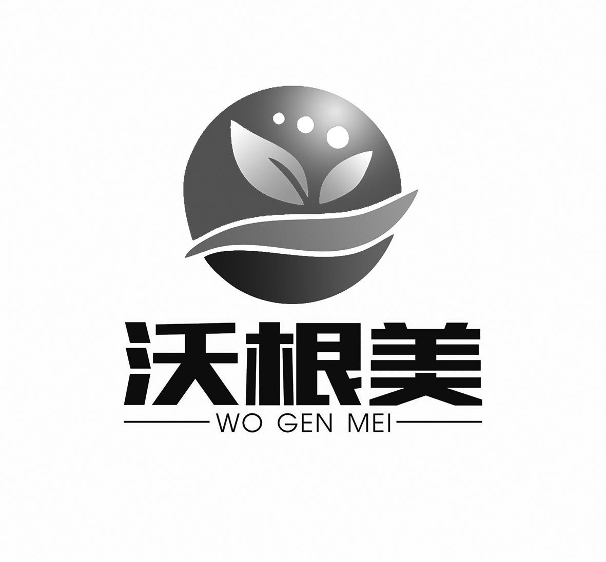 沃根美