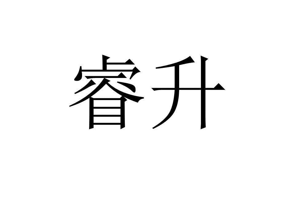 睿升