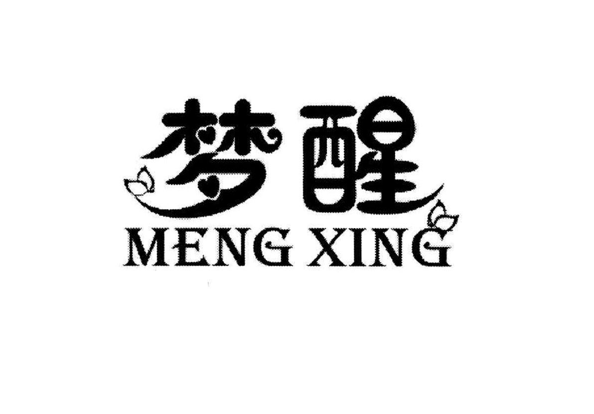 梦醒