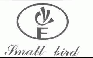 SMALL BIRD