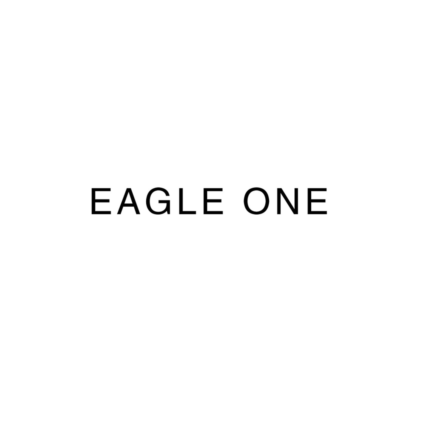 EAGLE ONE